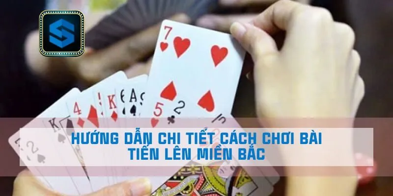 Hướng dẫn chi tiết cách chơi bài tiến lên miền Bắc