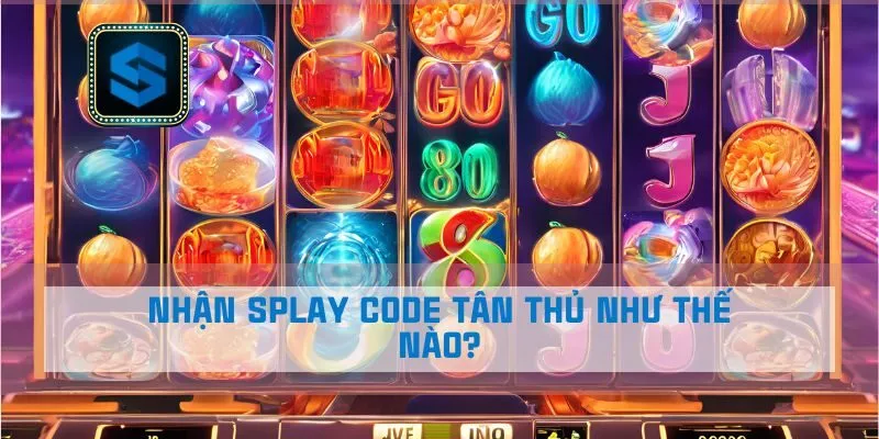 Nhận Splay code tân thủ như thế nào?