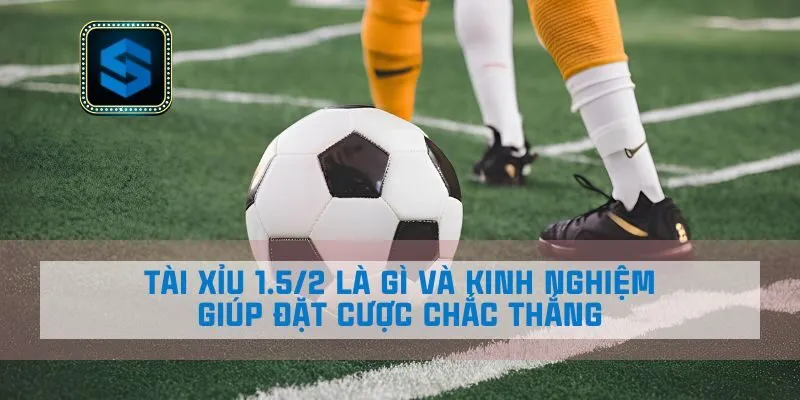 Tài Xỉu 1.5/2 Là Gì Và Kinh Nghiệm Giúp Đặt Cược Chắc Thắng